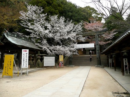 賢木門前の鳥居