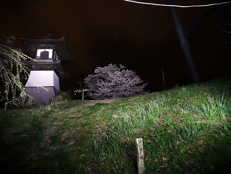 箸蔵寺の高灯篭