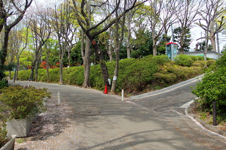 正面入口から動物園へ続く道