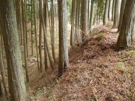 山中城跡北ノ丸堀