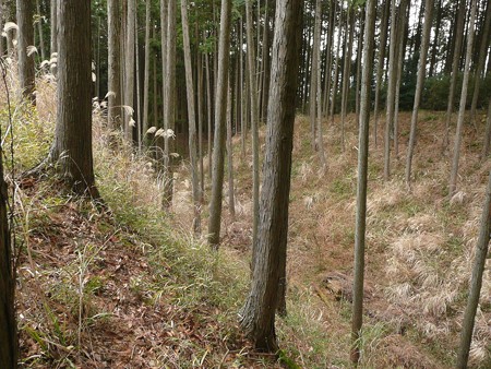 山中城跡北ノ丸堀