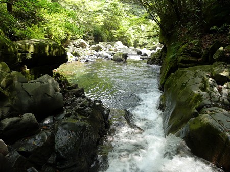 須津川上流の流れ