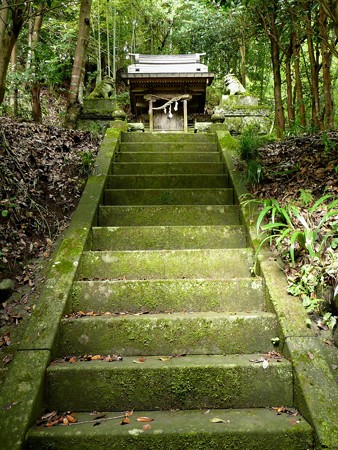 社裏の祠