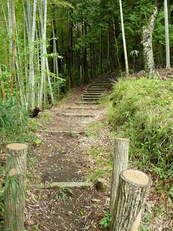 展望台へのハイキングコース入口