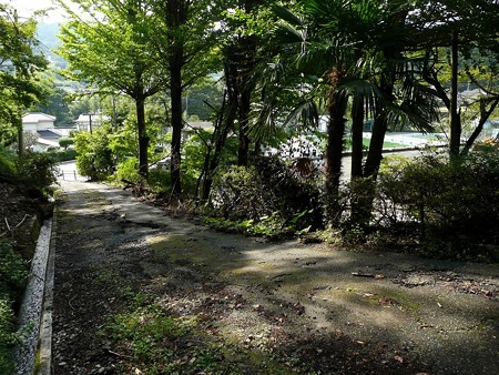 金時公園駐車場へ戻る道