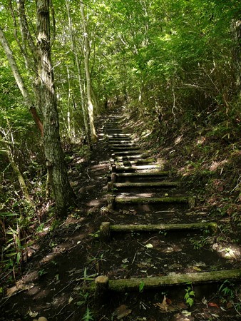 展望台へ続くハイキングコース