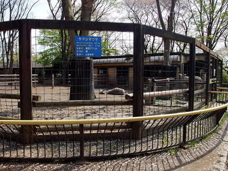 ハートマンヤマシマウマの飼育場