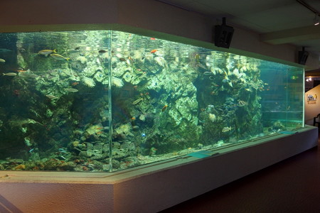 淡島水族館の大水槽