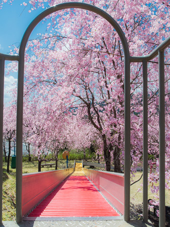 智者の丘公園 ローラー滑り台