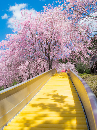 智者の丘公園 ローラー滑り台