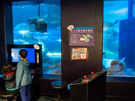 カメら君の海中散歩