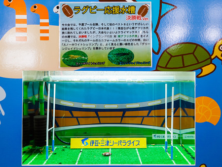 ラグビー応援水槽