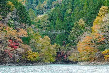 井川湖から眺める夢の吊橋