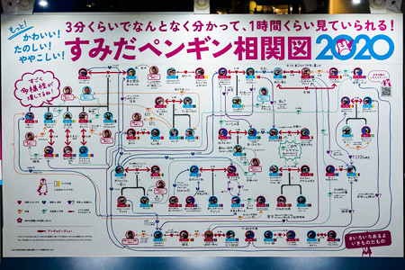 すみだペンギン相関図2020