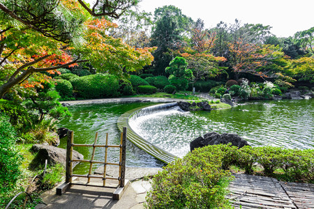 潮入りの池から続く堰堤