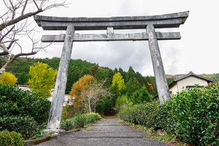 井川神社 参道