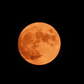 Photos: 赤い月