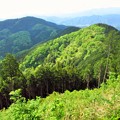Photos: 景信山からの眺め