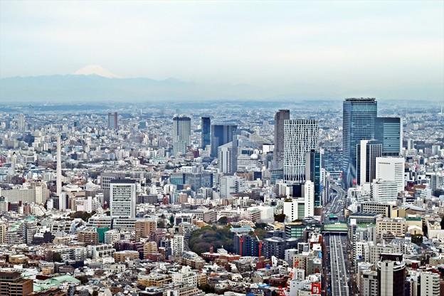 Tokyo city view(3)