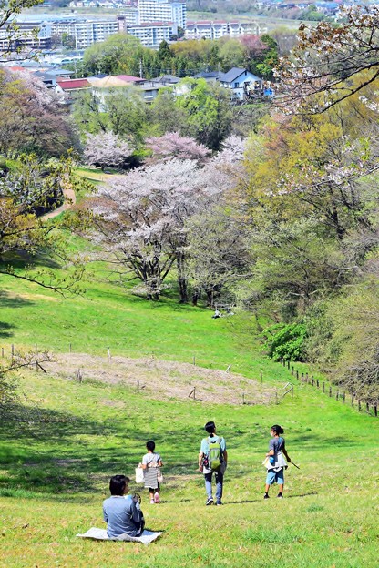 春の丘陵(4)