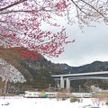 Photos: 裏高尾雪景色
