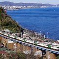 Photos: 185系踊り子＠石橋鉄橋