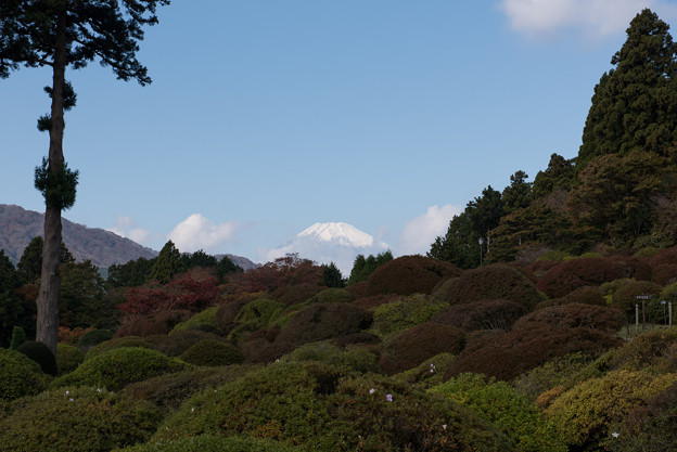 上のホテル【庭園から眺める富士山】