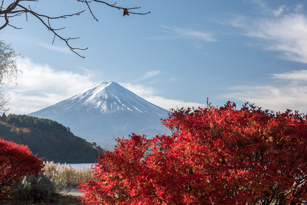 河口湖【富士山と紅葉】2