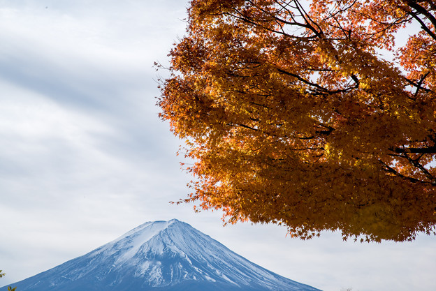 河口湖【富士山と紅葉】6