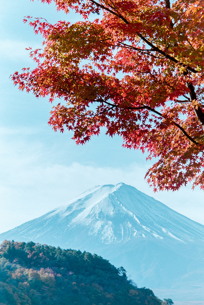 河口湖【富士山と紅葉】7銀塩