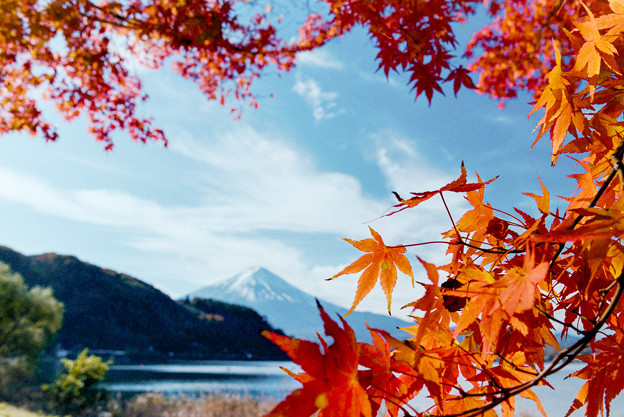 河口湖【富士山と紅葉】8銀塩