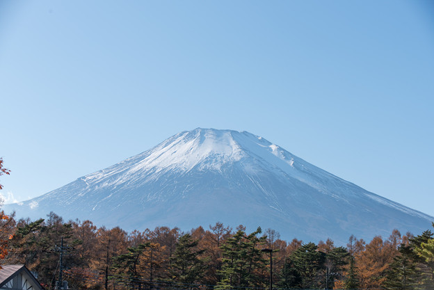 山中湖【富士山と紅葉】2