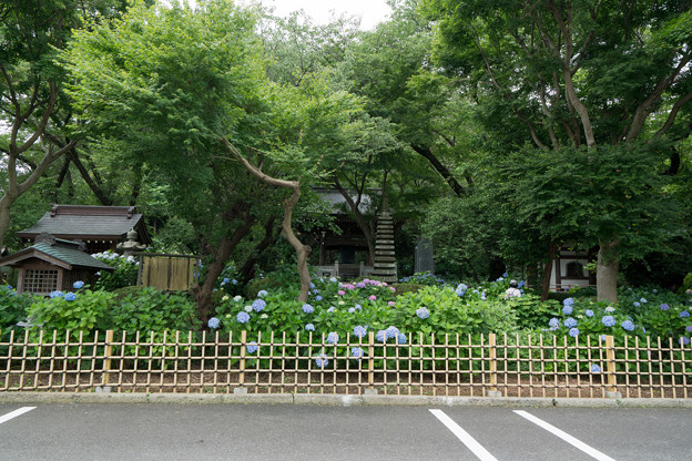 妙楽寺【駐車場から観た庭園】