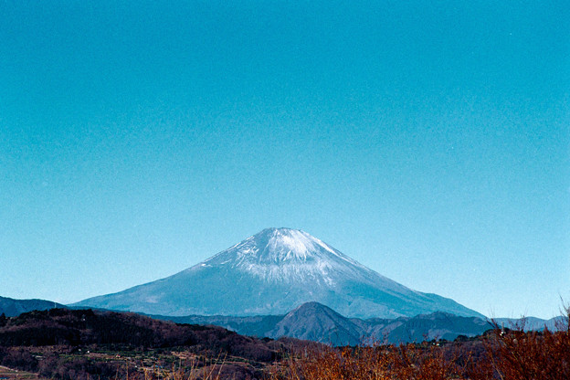 12吾妻山公園【富士山の眺め】銀塩NLP