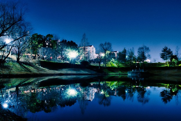 上の池の夜