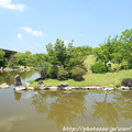 Photos: IMG_5671日本庭園・心字池