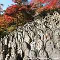 Photos: IMG_9150正暦寺・僧侶の墓石群