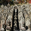Photos: IMG_9152正暦寺・僧侶の墓石群