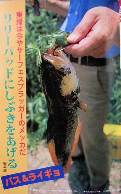 Fish On 1978年 10月号 雷魚、バス編 | 人魚はご機嫌ななめ♪