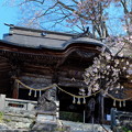 圓藏寺の春