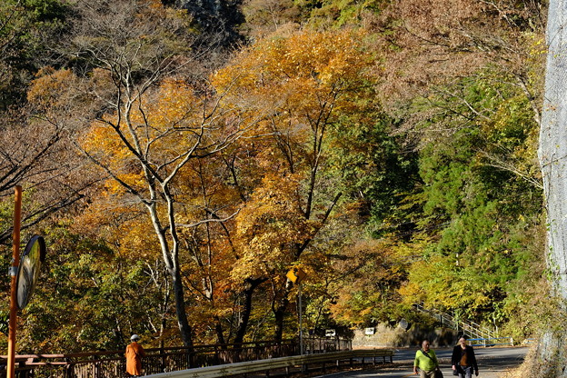 吾妻渓谷の紅葉 12 写真共有サイト フォト蔵