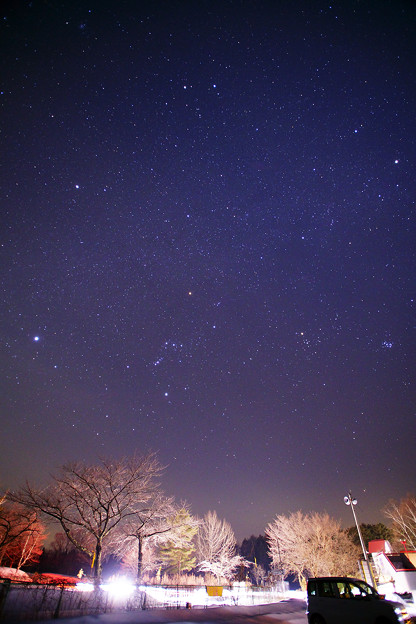 冬の桜と星空と