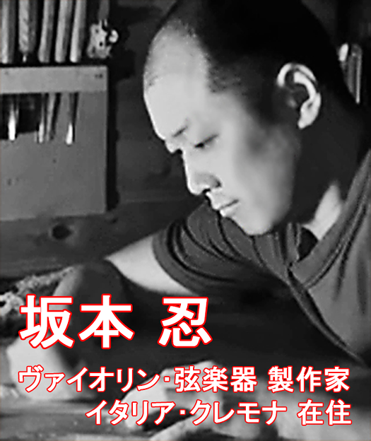 坂本忍　さかもとしのぶ　ヴァイオリン、弦楽器製作者　　　　　　　Shinobu Sakamoto