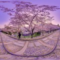 京都 蹴上 インクライン　桜　360度パノラマ写真