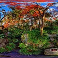 駿府城公園　紅葉山庭園　紅葉 360度パノラマ写真(2)