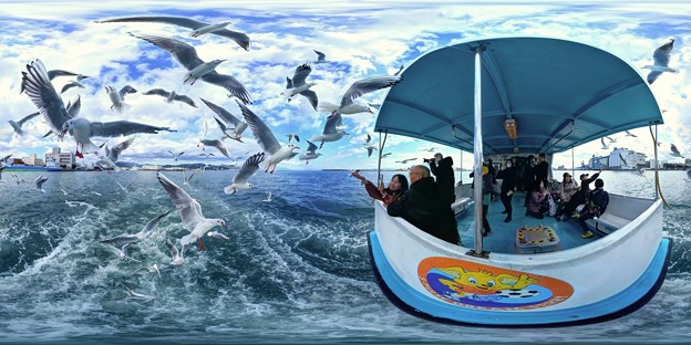 Photos: 清水港 ユリカモメ 水上バスより　360度パノラマ写真 HDR