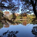 Photos: 杉並善福寺公園