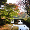 Photos: 六義園の秋