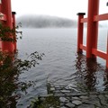 Photos: 箱根神社の鳥居