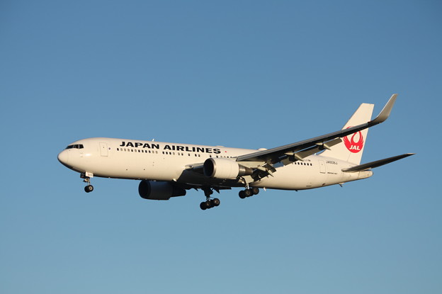 日本航空　JAL　ボーイング767-300ER　JA608J